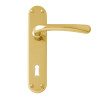 Intelligent Hardware Palace Lever Lock Furniture in Evershine Brass